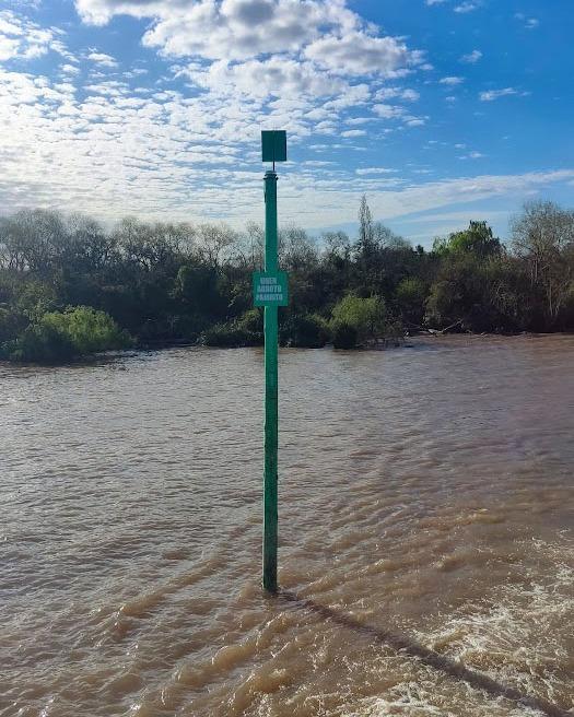 pajarito verde.jpeg